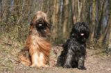 BRIARD 011